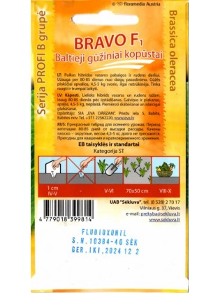 Weißkohl 'Bravo' H, 40 Samen