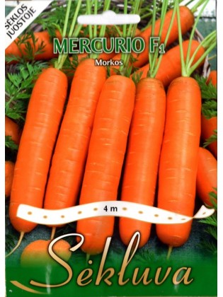 Karotte 'Mercurio' H, 4 m Samen auf Band