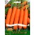 Carrot 'Mercurio' H, 4 m seeds on tape