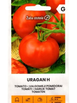 Pomidorai valgomieji 'Uragan' H