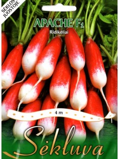 Radish 'Apache' H, 4 m seeds on tape