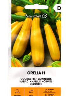 Zucchini 'Orelia' H, 5 seeds