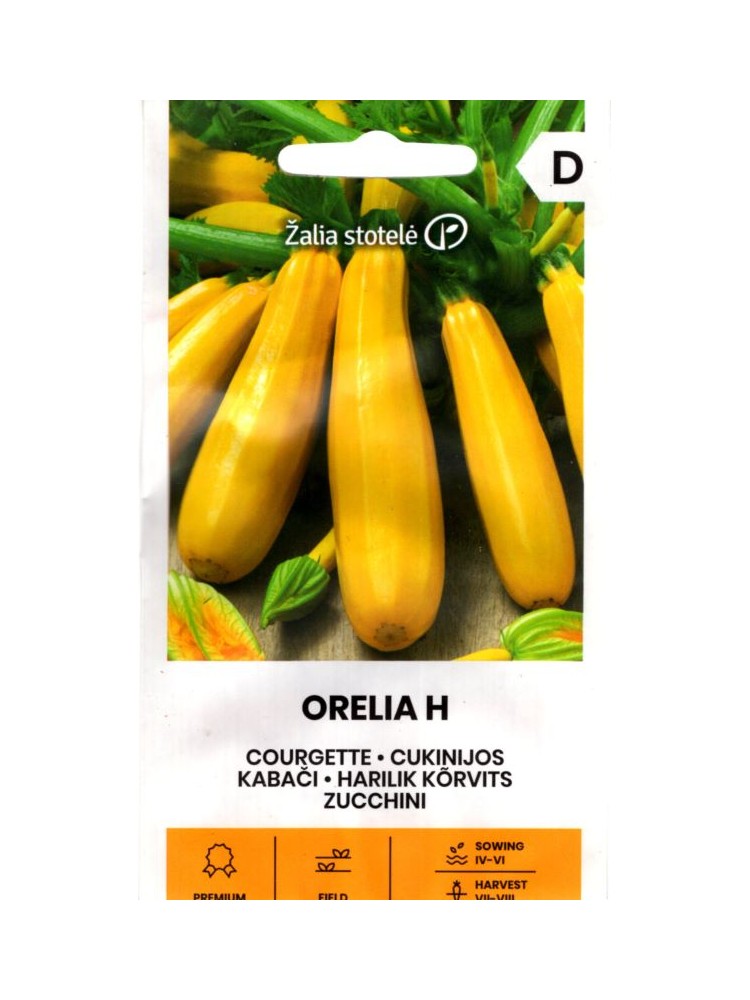 Zucchini 'Orelia' H, 5 Samen