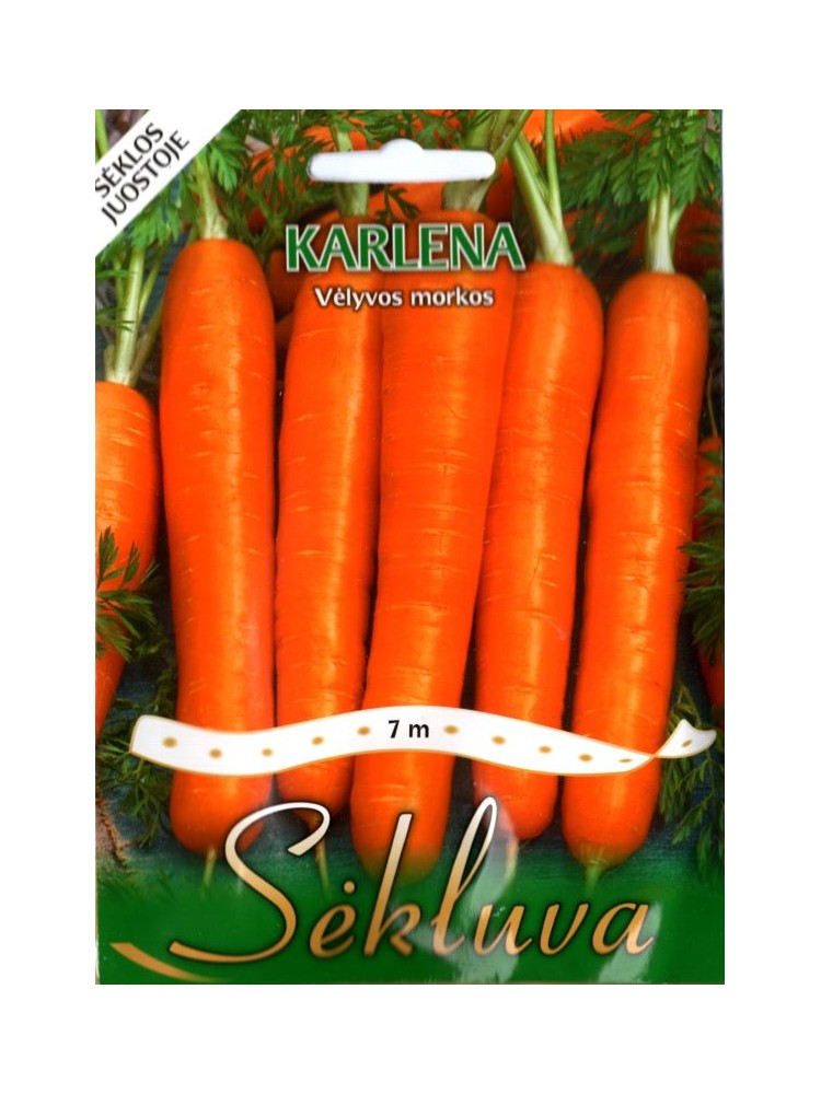 Carota 'Karlena' 7 m semi a nastro