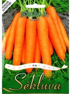 Carrot 'Jerada' H, 4 m seeds on tape