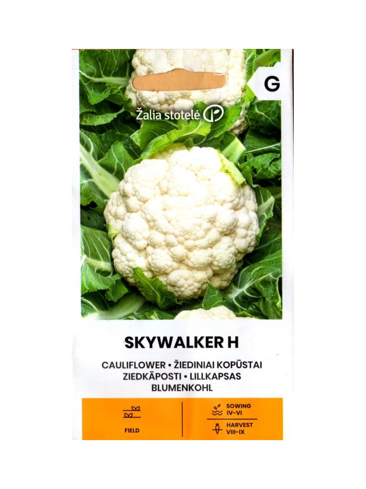 Cauliflower 'Skywalker' H, 20 seeds