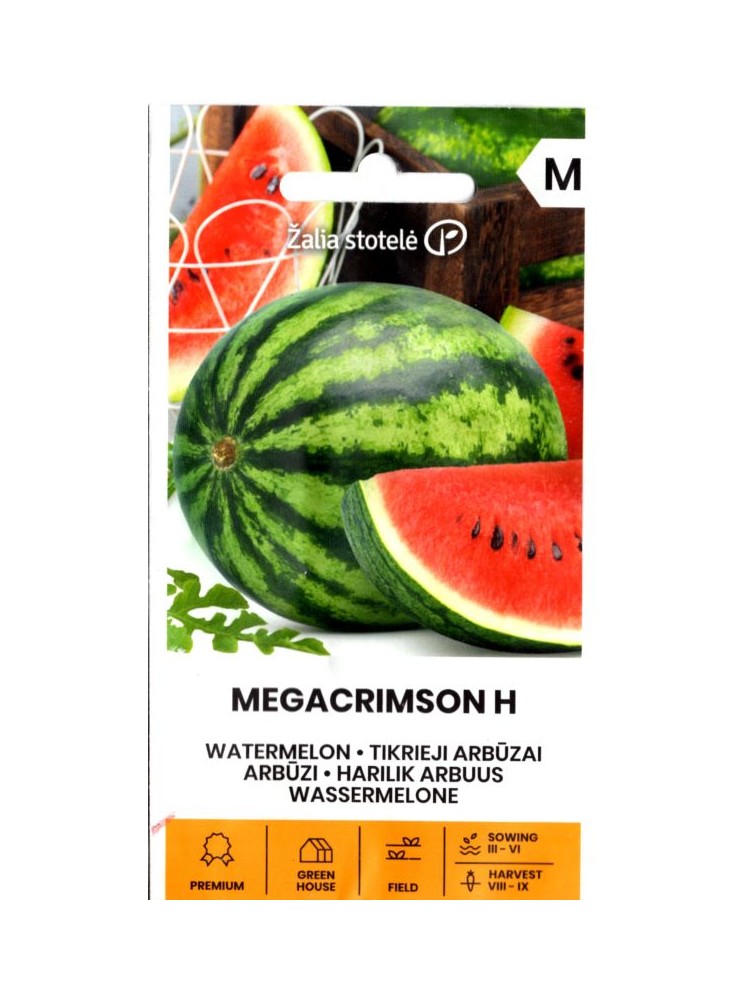 Pastèque 'Megacrimson' H, 10 graines