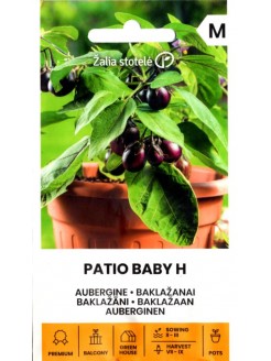 Aubergine 'Patio Baby' H, 10 graines