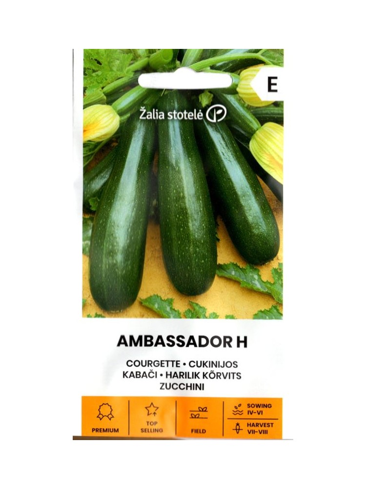 Courgette 'Ambassador' H, 1 g