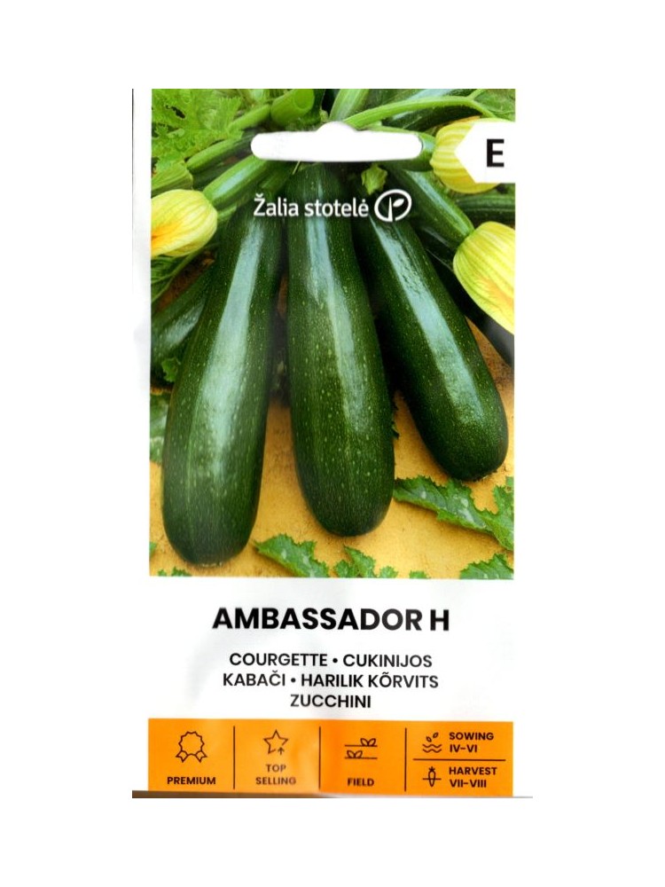 Zucchini 'Ambassador' H, 1 g