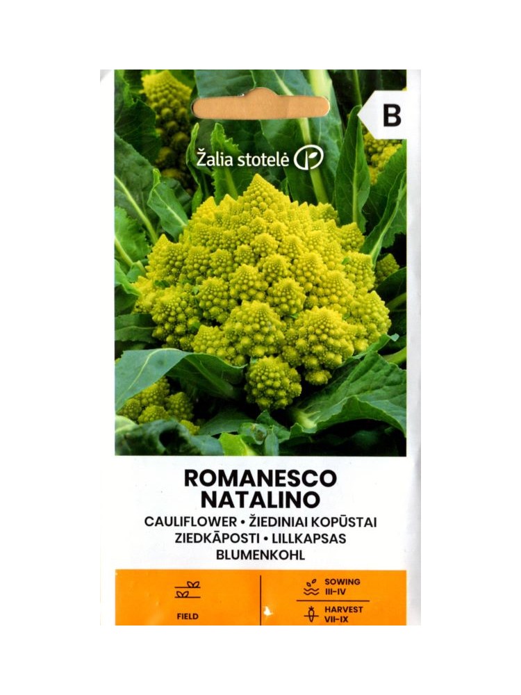 Цветная капуста 'Romanesco Natalino'  0,5  г
