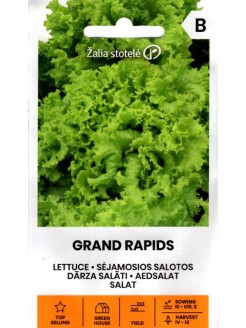 Laitue cultivée 'Grand Rapids' 2 g