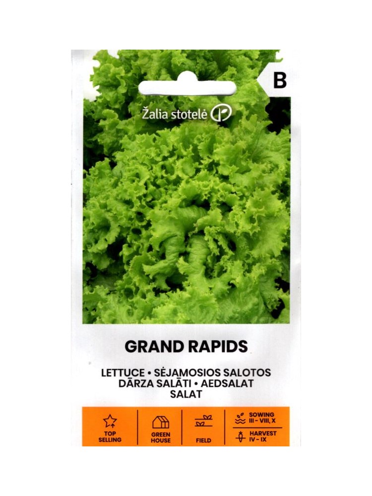 Gartensalat 'Grand Rapids' 2 g