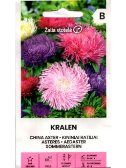 China aster gr. 'Krallen' Mix, 1 g
