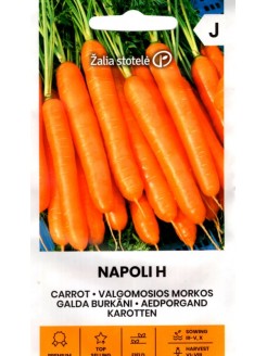 Karotte 'Napoli' H, 1 g