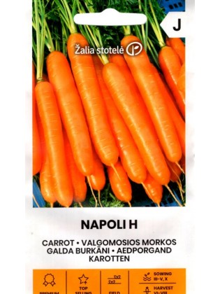 Морковь посевная 'Napoli' H, 1 г