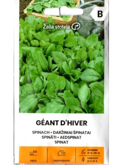 Spinacio 'Geant D'Hiver' 3 g