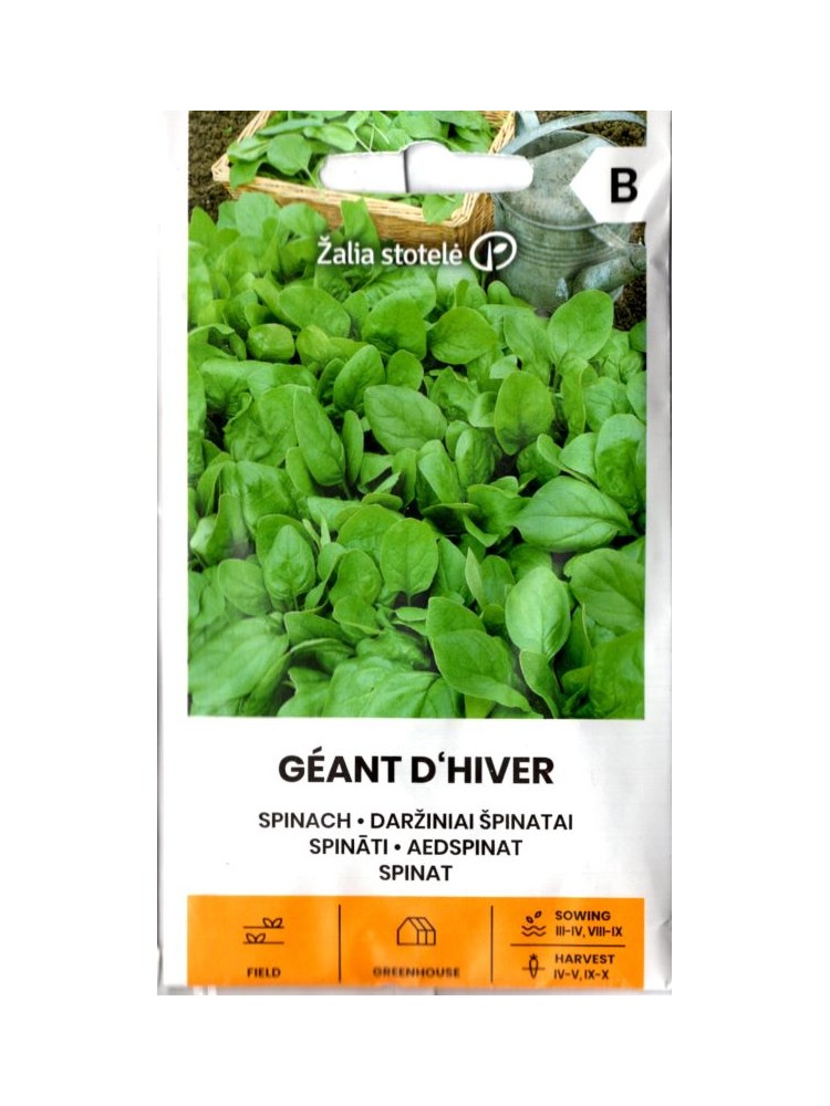 Echte Spinat 'Geant D'Hiver' 3 g