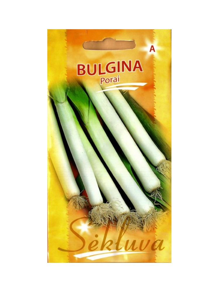 Leek 'Bulgina' 100 seeds