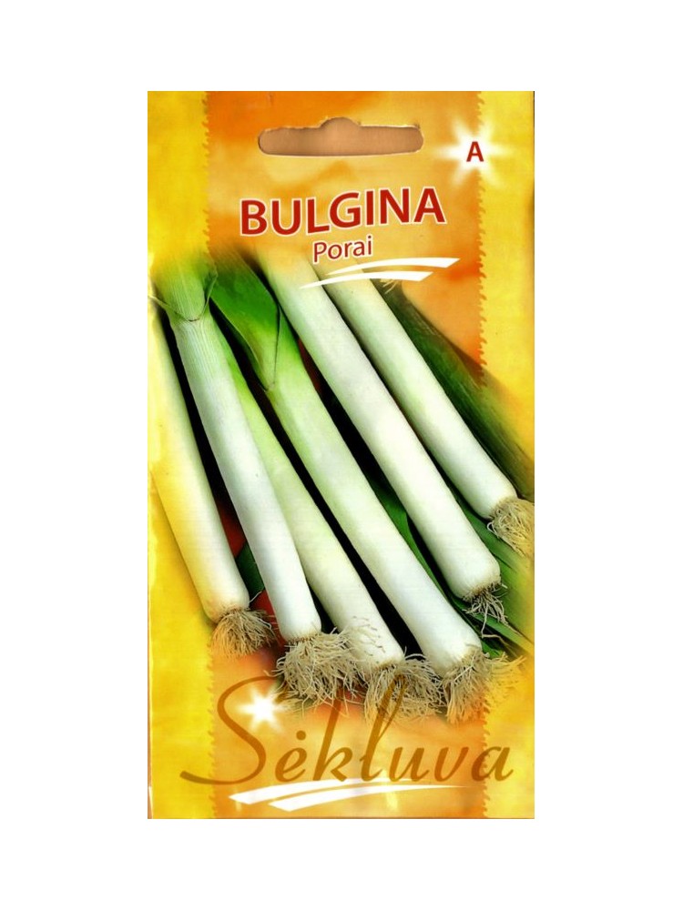 Porro 'Bulgina' 100 semi