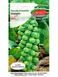 Brussels sprout 'Casiopea' 2 g