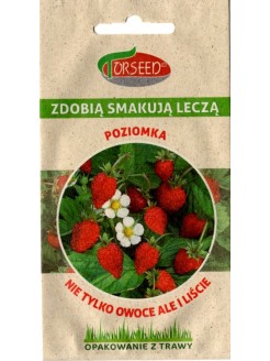 Wald-Erdbeere 'Regina' 0,2 g