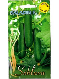 Agurkai paprastieji 'Saladin' H, 5 g