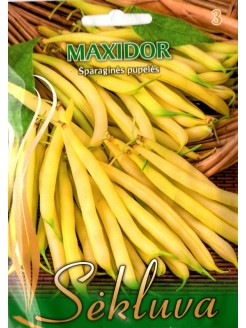 Common bean 'Maxidor' 15 g