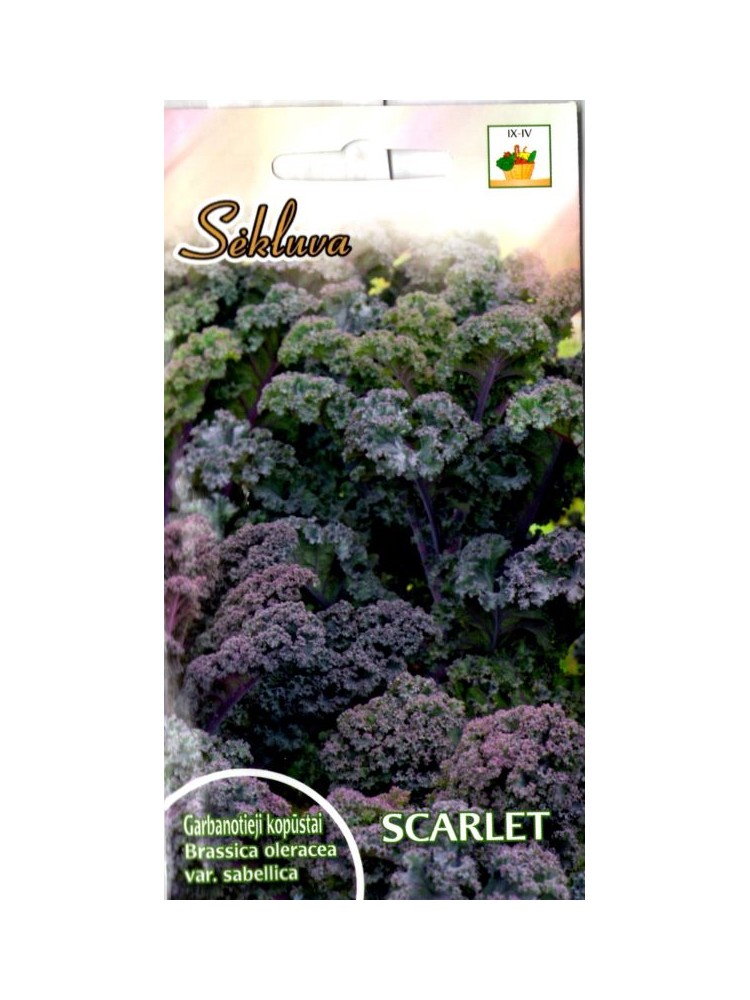 Kale 'Scarlet' 1 g