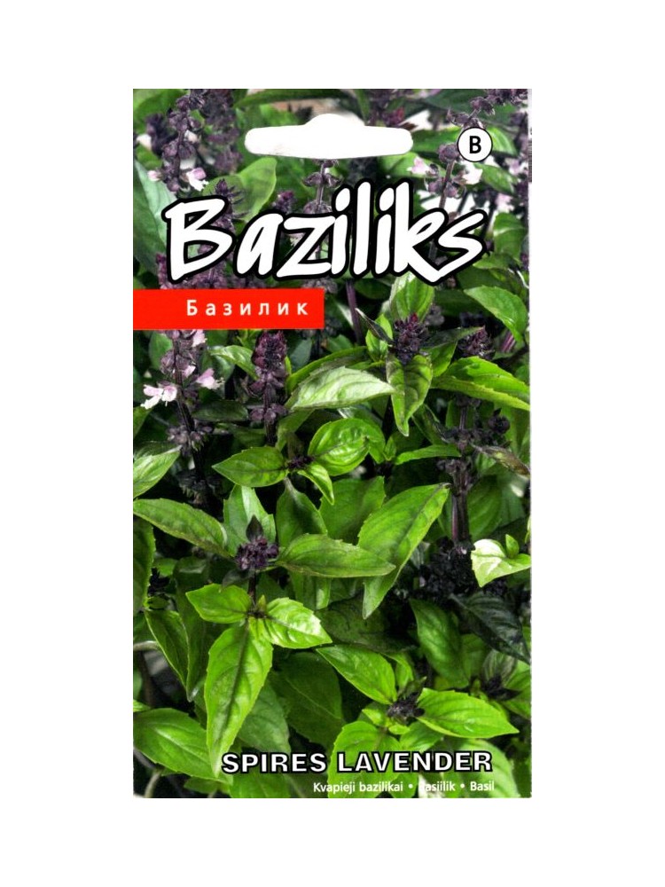 Sweet basil 'Spires Levender' 20 seeds