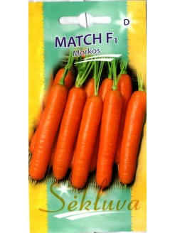 Carrot 'Match' H, 600 seeds