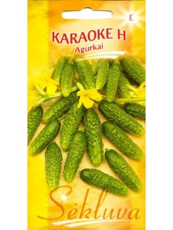 Cucumber 'Karaoke' H, 30 seeds