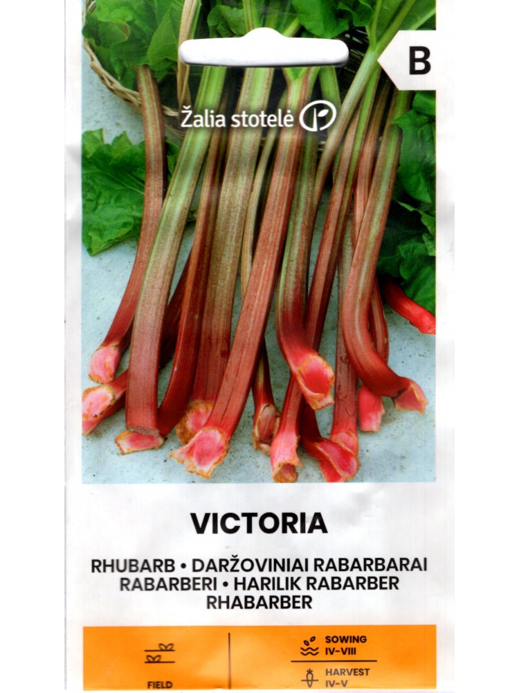 Gemeiner Rhabarber 'Victoria' 1 g