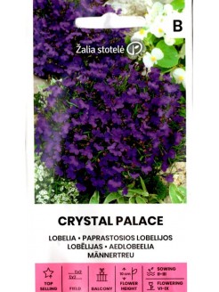 Sinilobeelia 'Crystal Palace' 0,1 g