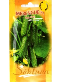 Gherkin 'Merengue' H, 100 seeds
