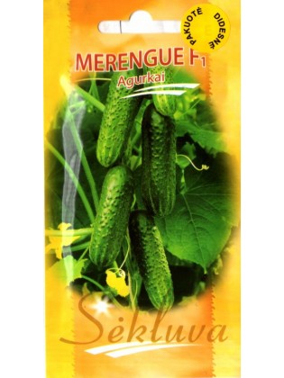 Cetriolo 'Merengue' H, 100 semi