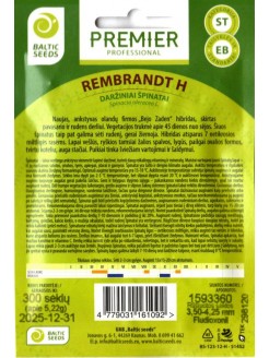 Spinach 'Rembrandt' H, 300 seeds