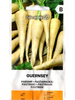 Pastinaca sativa 'Guernsey' 3 g