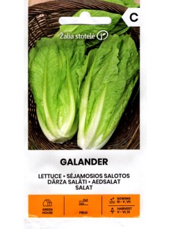 Salotos romaninės 'Galander' 1 g