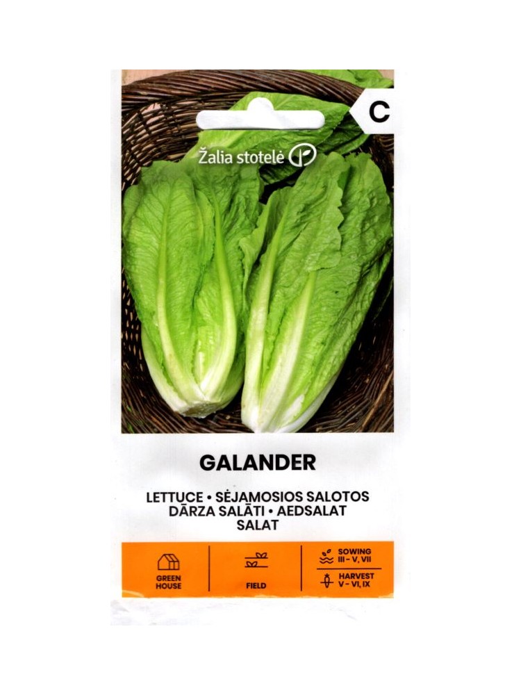 Rooma salat 'Galander' 1 g