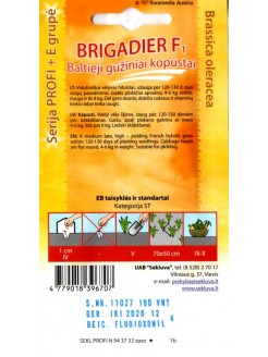Капуста белокочанная 'Brigadier' H, 100 семян