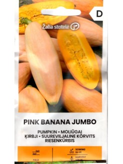 Lielaugļu ķirbji 'Pink banana jumbo'