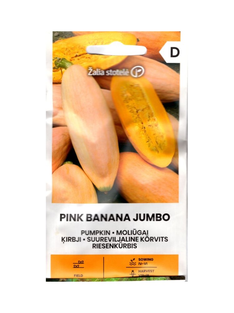 Тыква гигантская 'Pink banana jumbo'