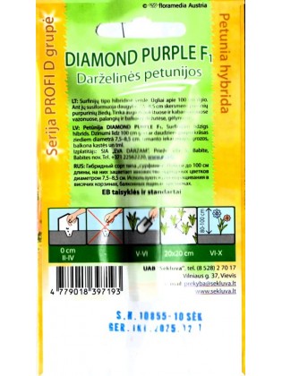 Nokarenā petūnija 'Diamond Purple' H