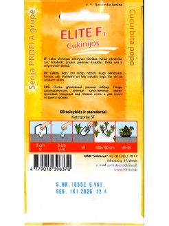 Courgette 'Elite' H, 6 semences