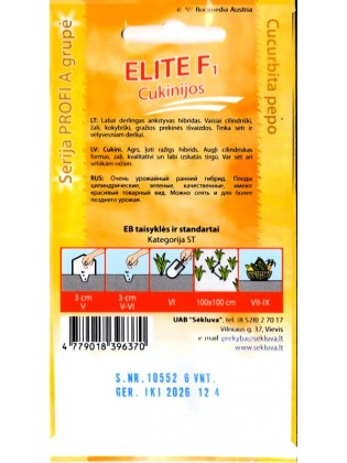 Courgette 'Elite' H, 6 graines