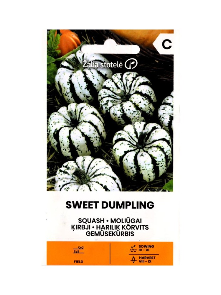 Suureviljalise kõrvitsa 'Sweet Dumpling' 2 g