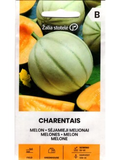 Melon 'Charentais' 1 g