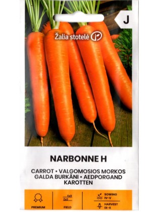 Carrot 'Narbonne' H, 1 g