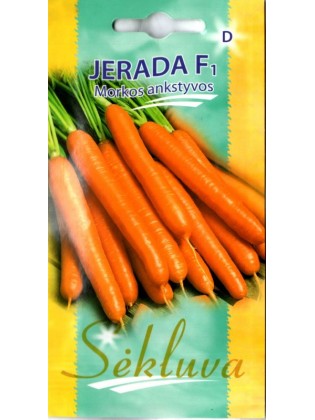 Carrot 'Jerada' H